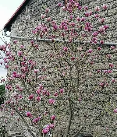U Waldemara Apartamento Lomnica (Jelenia Gora)