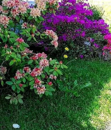 U Waldemara * Lomnica (Jelenia Gora)