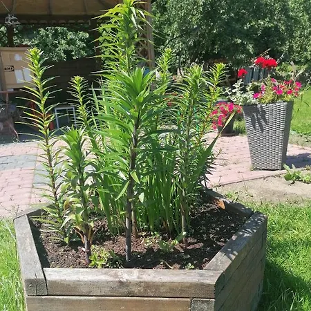 Apartamento U Waldemara Lomnica (Jelenia Gora)