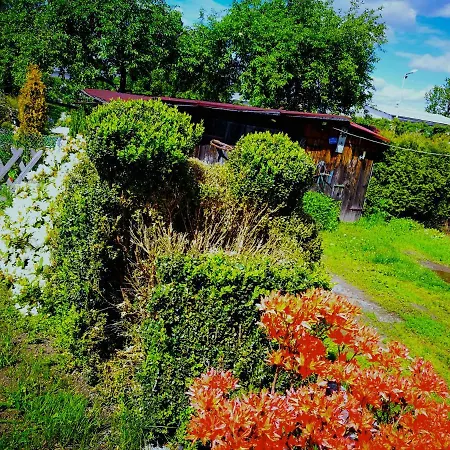 U Waldemara Apartamento