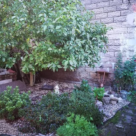 U Waldemara * Lomnica (Jelenia Gora)